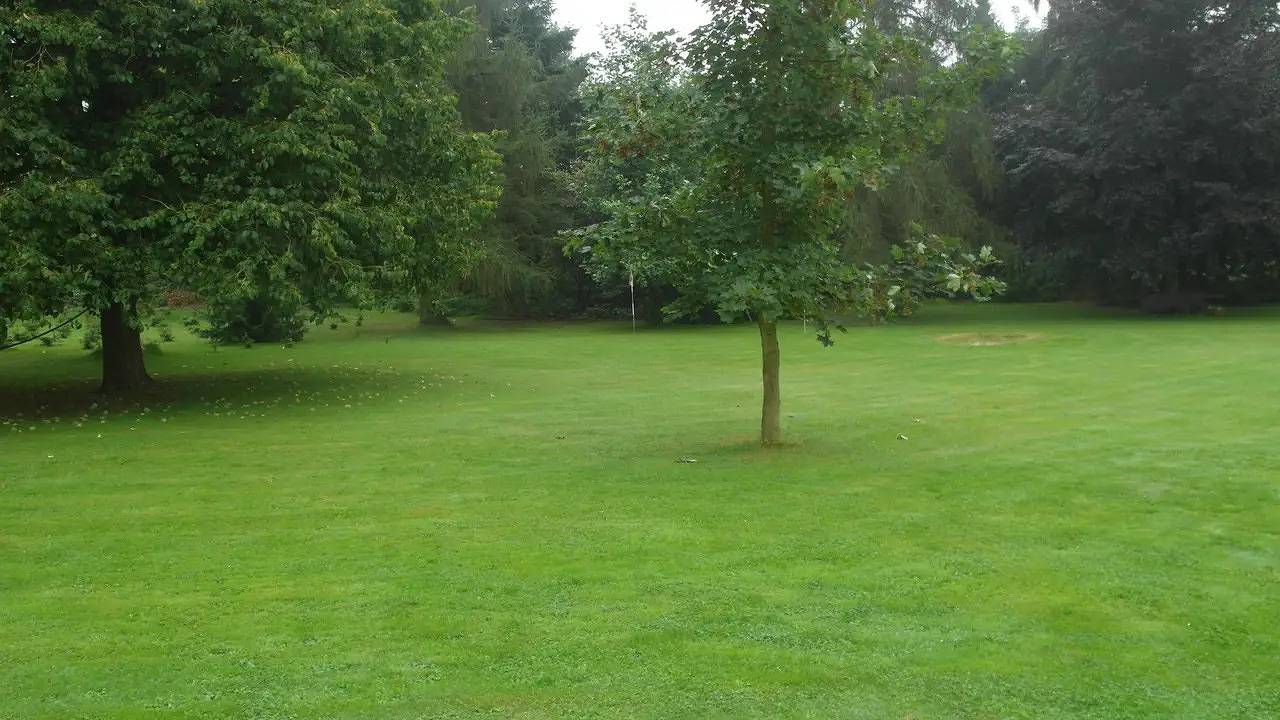 Ferienhaus für 3 Personen (68 m²) in Gifhorn in Gifhorn, Landkreis Gifhorn