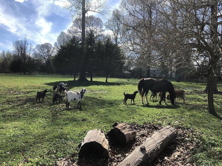 Ferienhaus für 6 Personen, mit Garten in Delaware