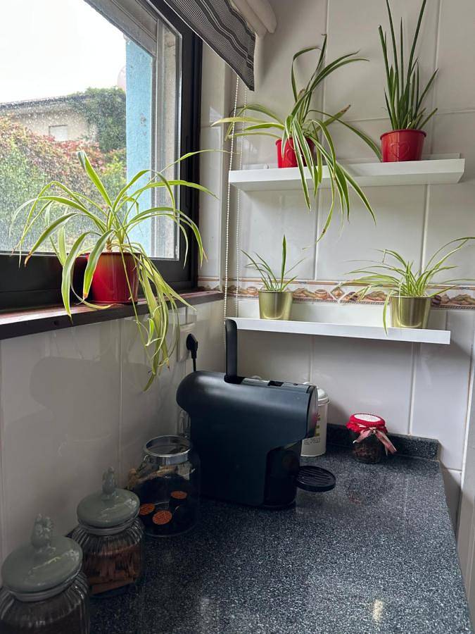 Gîte pour 6 personnes, avec jardin et vue à Peso da Régua - 3