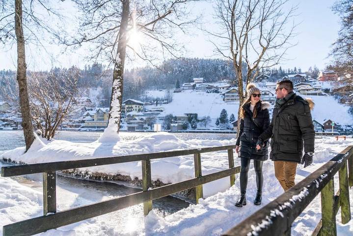 One-Bedroom Apartment in Millstatt, Bezirk Spittal an der Drau