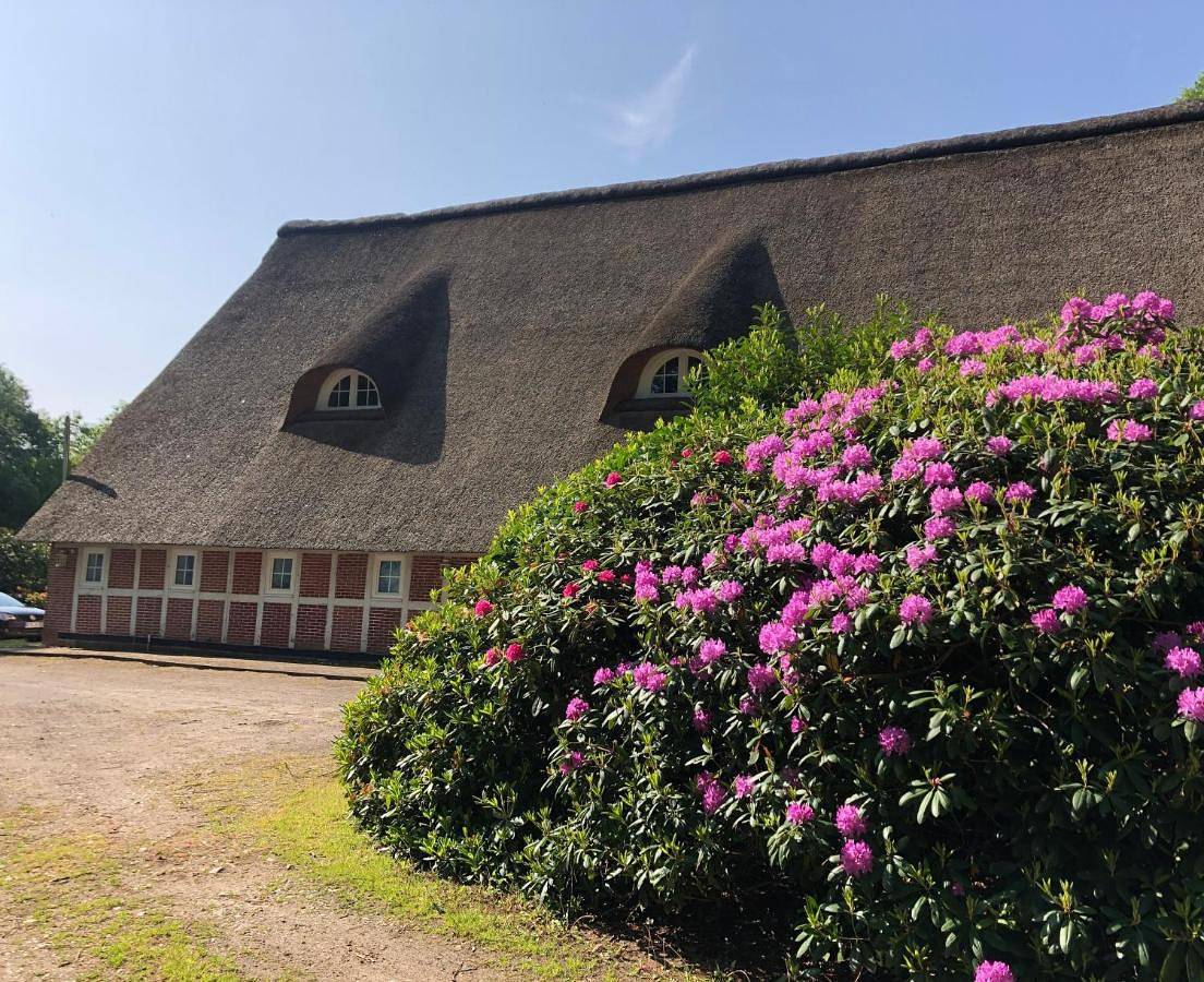 Geheel appartement, One-Bedroom Apartment in Stade, Cuxland