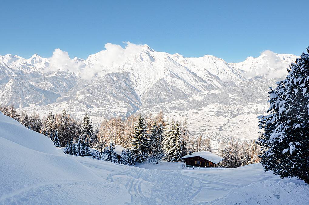 Chalet "Les Pivoines" in Nendaz, Alpi Pennine