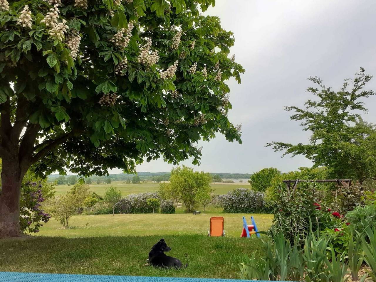Ganze Ferienwohnung, Ferienwohnung Zum Seeblick in Malchiner See, Dahmen