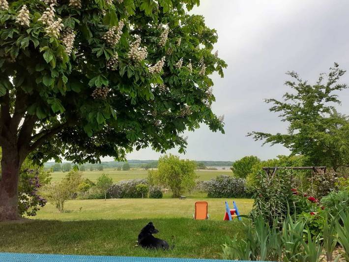 Ferienwohnung für 4 Personen, mit Seeblick in Mecklenburgische Schweiz - 4