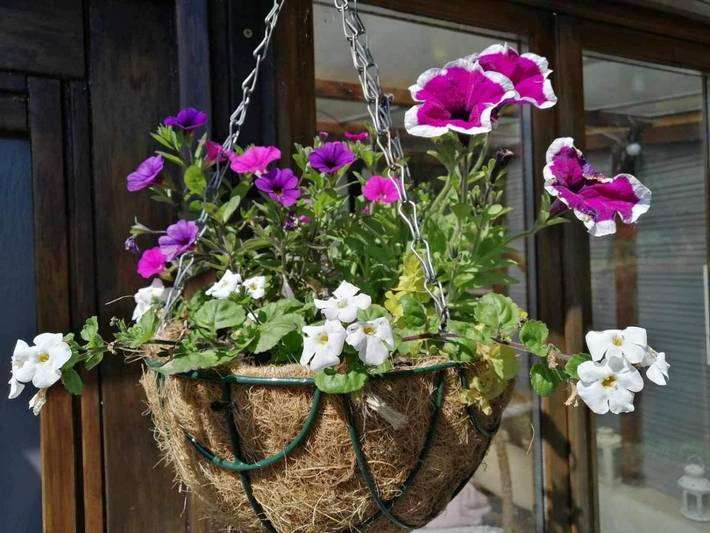 Location de vacances pour 4 personnes, avec jardin et vue dans Souleuvre-en-Bocage - 2