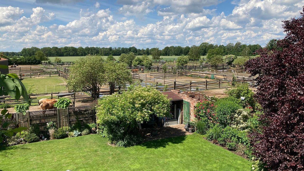 Ganze Ferienwohnung, Ferienwohnung für 4 Personen (70 m²) in Wienhausen in Wienhausen, Lüneburger Heide