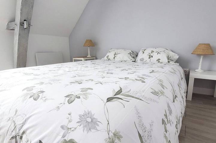 Location de vacances pour 4 personnes, avec piscine et jardin à Saint-Mathurin-sur-Loire - 2