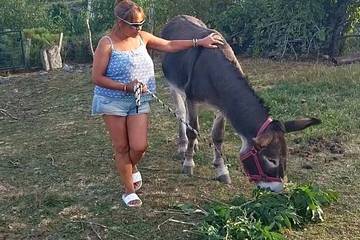 Gîte pour 2 personnes, avec jardin et terrasse à Rieutort-de-Randon