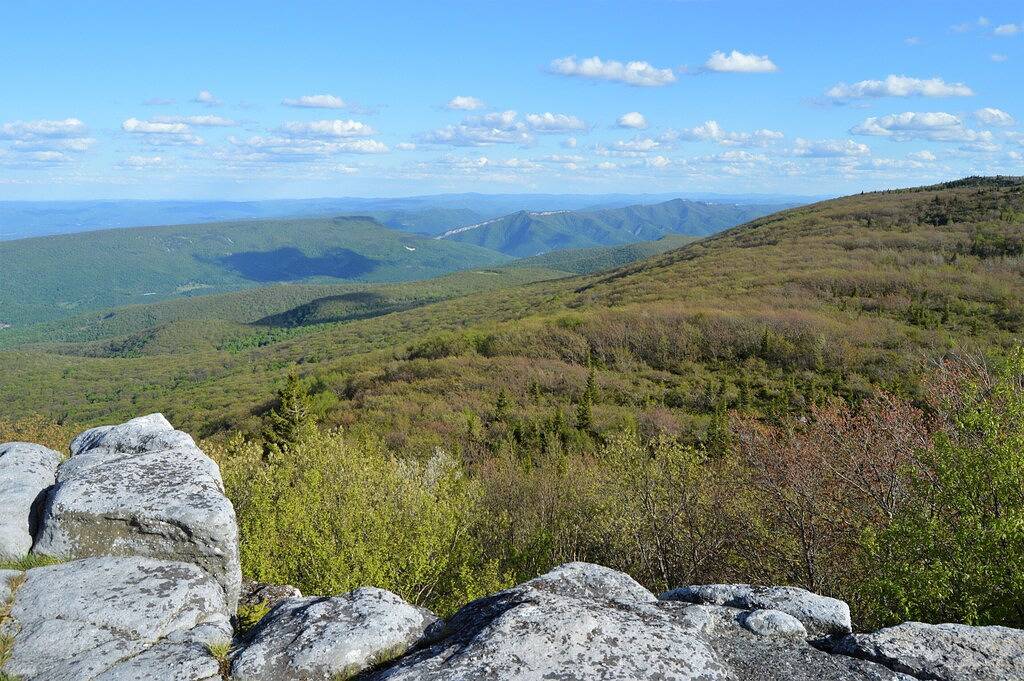 Atemberaubende abgelegene Hütte! Nächste Vermietung zu Spruce Knob! in Seneca Rocks