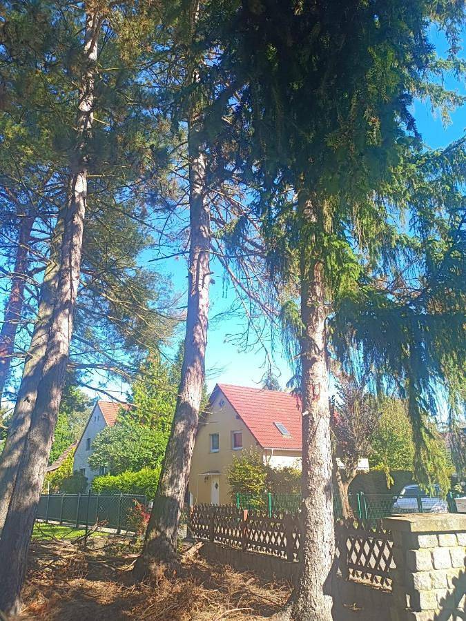 Maison d’hôte pour 3 personnes, avec vue et jardin, animaux acceptés à Berlin - 2