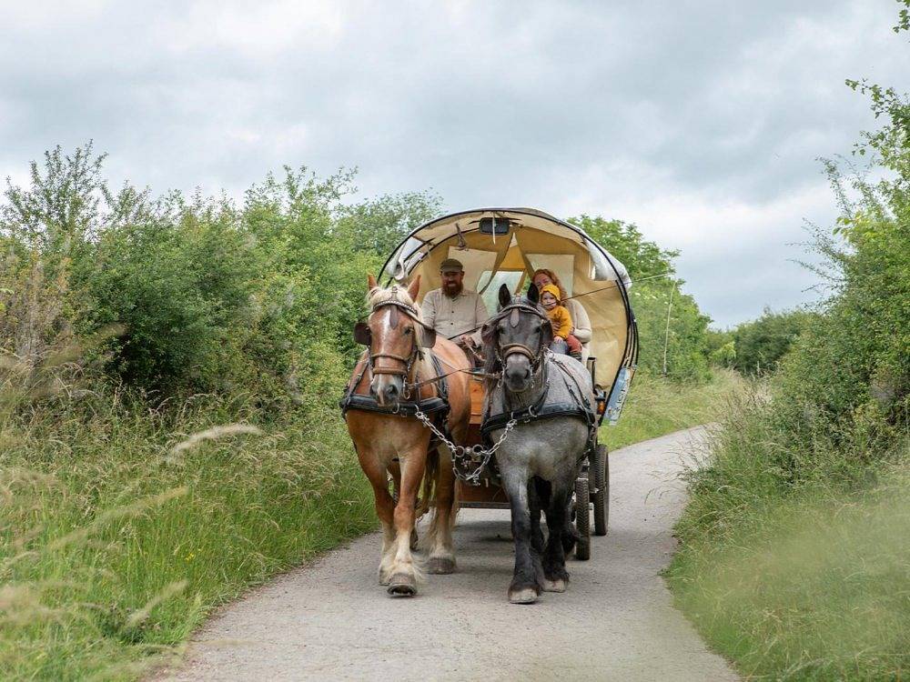 Nengshof - Appartement Vergissmeinnicht in Wißmannsdorf, Eifelkreis Bitburg-Prüm