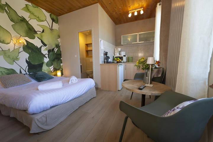 Ferienwohnung für 2 Personen, mit Sauna und Garten sowie Whirlpool in Riquewihr - 3