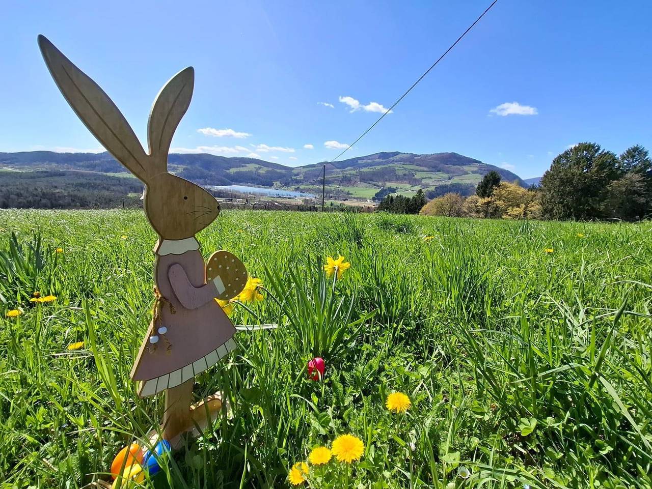 Gästehaus Ungertoni - Doppelbett Zimmer mit See Blick in Gemeinde Stubenberg, Steirerland