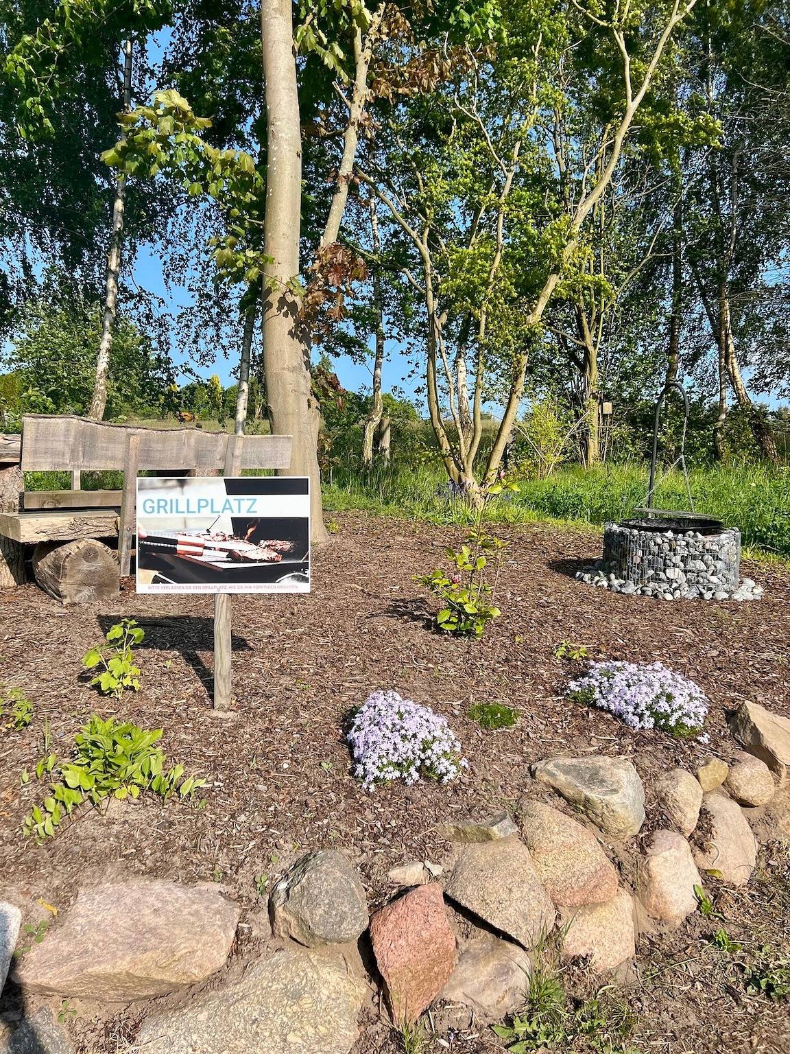 Naturidyll Mariendorf - Reethus Rotbuche in Mariendorf (Rügen), Mönchgut