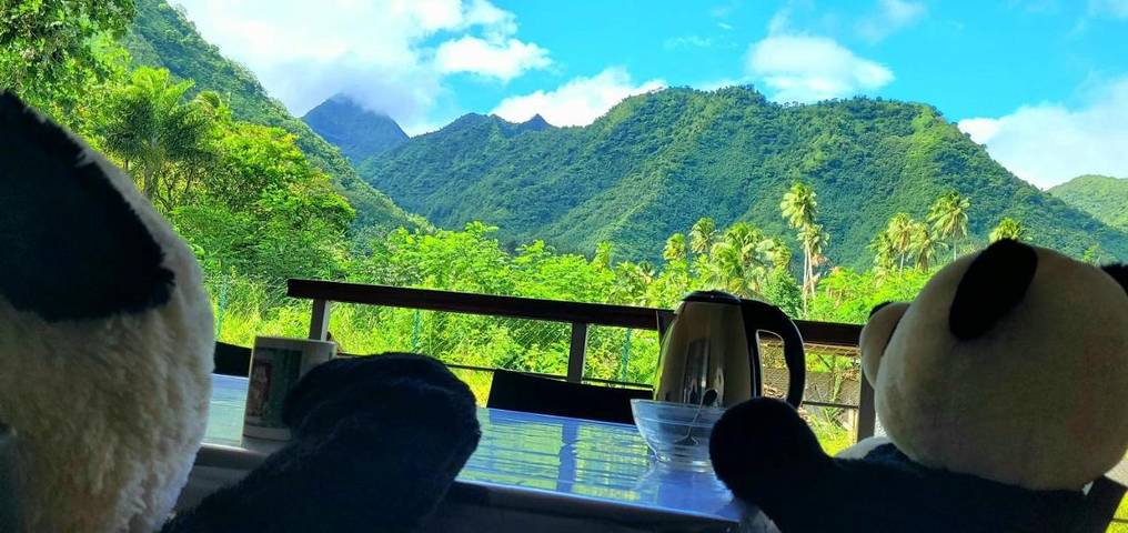 Location de vacances pour 5 personnes, avec jardin et vue dans Teahupo'o - 3