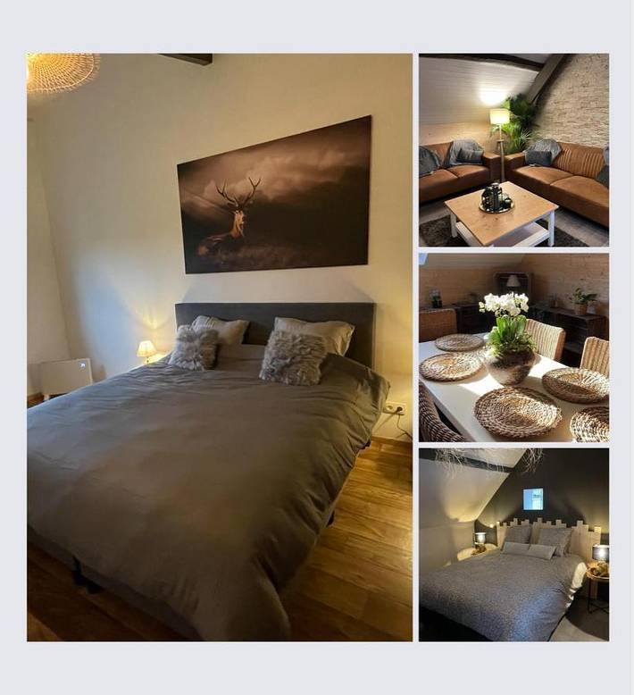 Appartement de vacances pour 4 personnes, avec Balcon et Terrasse ainsi que Jardin et Vue dans Roosdaal