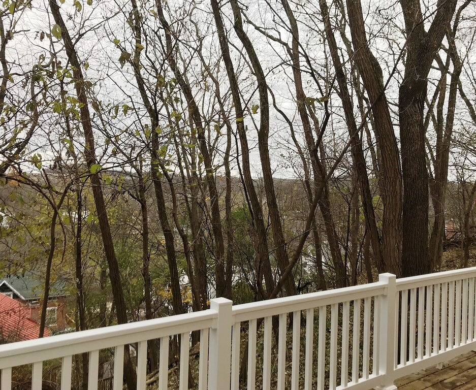 Walk 2 Downtown ~ hundefreundlich ~ Kamin ~ Ev Charger vor Ort! in Galena, Jo Daviess County