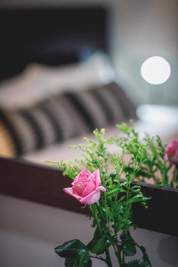 Maison d’hôte pour 2 personnes, avec vue et terrasse à Nauplie - 4