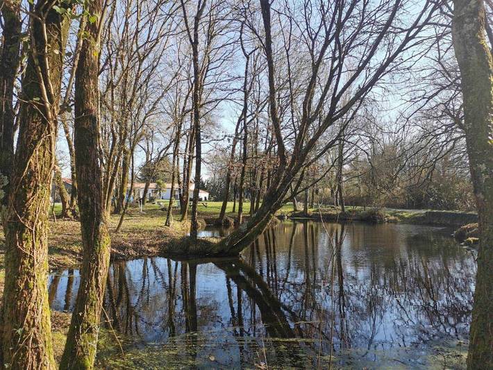 Maison de vacances pour 4 personnes, avec vue ainsi que terrasse et jardin