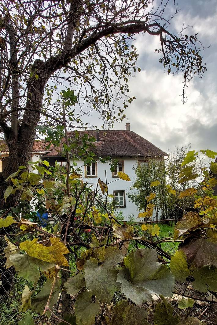 Apartamento de vacaciones para 3 personas, con terraza y jardín - 1