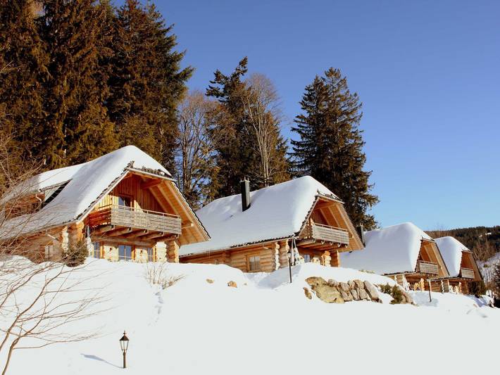 Hotel für 6 Personen, mit Garten, kinderfreundlich in Todtnau - 2