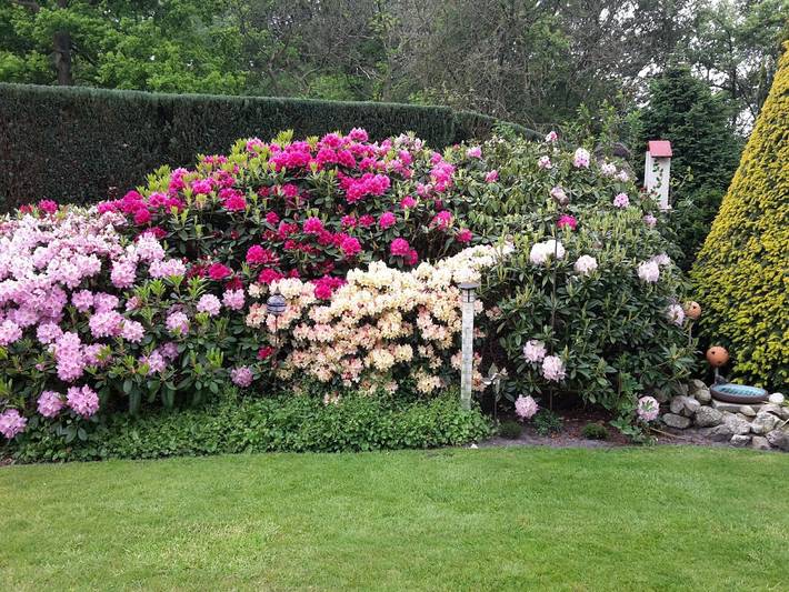Ferienwohnung für 3 Personen, mit Garten in Ammerland - 3
