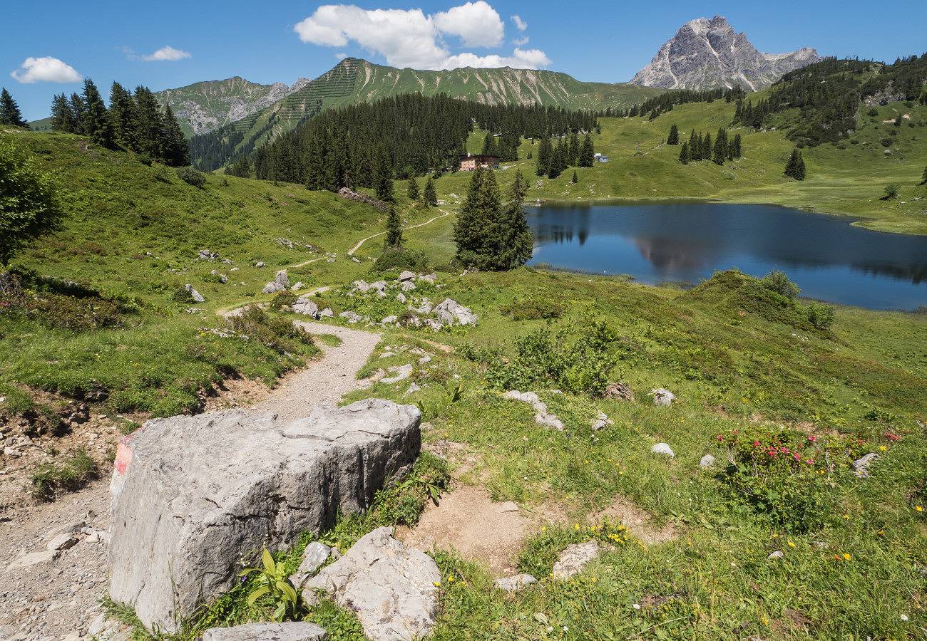 Ganze Wohnung, Hölderle Damüls - Bergblick #10  in Damüls, Bregenzerwald