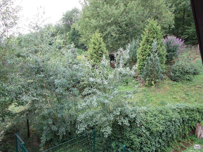 Ferienwohnung für 2 Personen, mit Balkon und Terrasse sowie Garten und Ausblick in Lieser - 3
