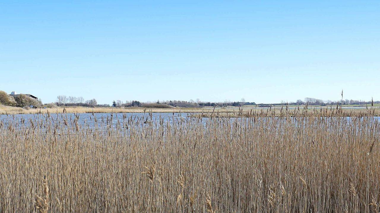 Feriehus for 5 personer med terrasse in Fyns Hoved, Martofte