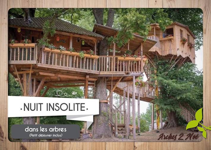 Cabane dans les arbres pour 4 personnes, avec jardin - 1