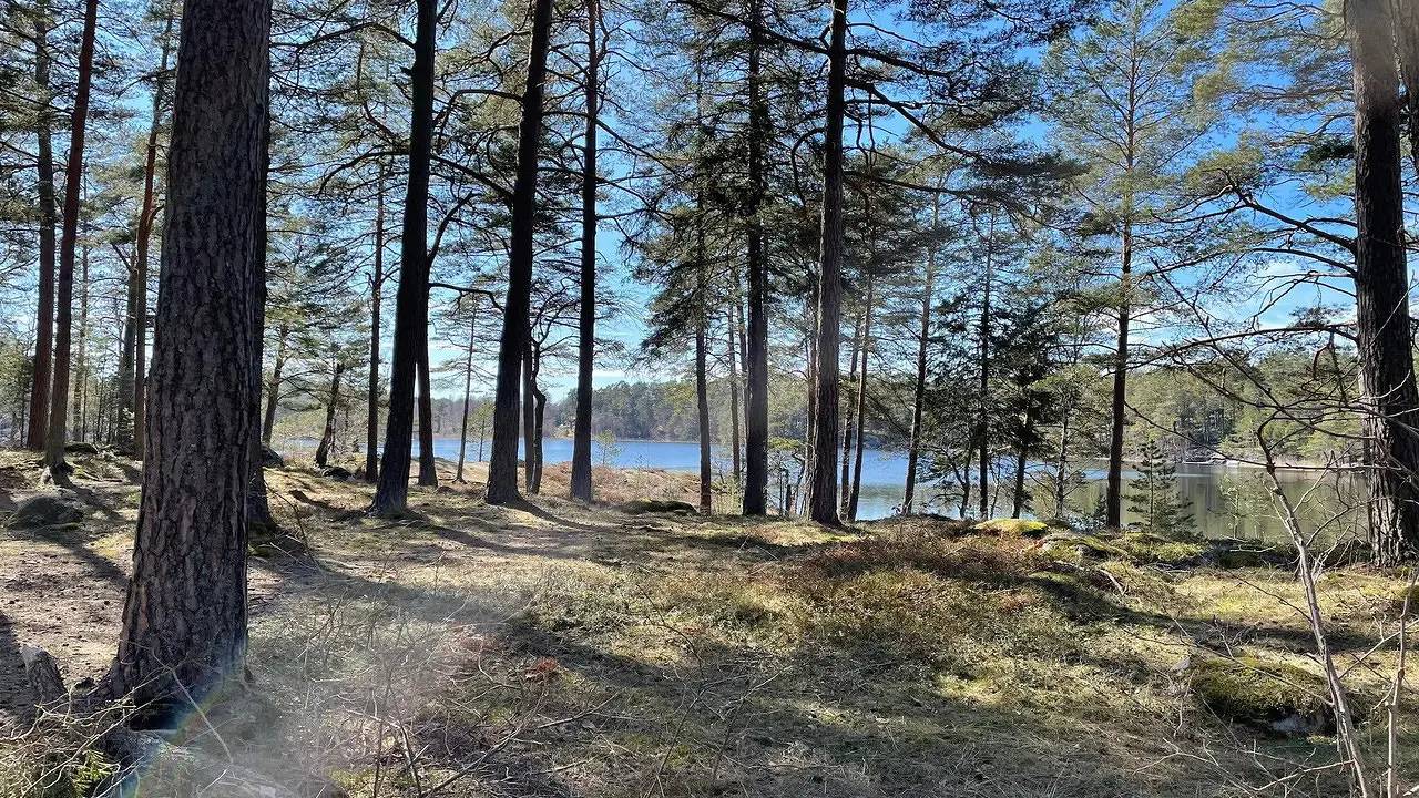 Ferienhaus für 5 Personen (45 m²) in Muskö, Haninge und Umgebung