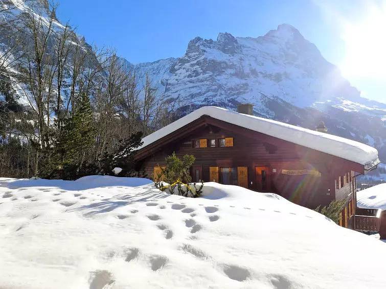 Appartement entier, 1 Pièce 2 Personnes in Grindelwald, Région de Grindelwald