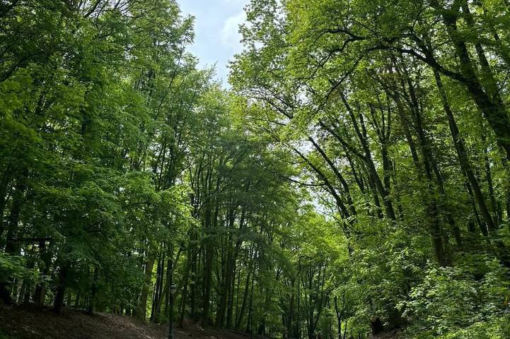 Ferienwohnung für 6 Personen - 1