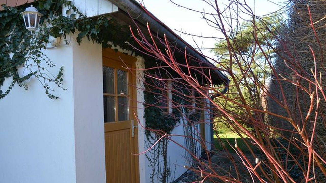 Ganze Ferienwohnung, Ferienwohnung für 3 Personen (50 m²) in Insel Hiddensee in Hiddensee, Ostseeinseln