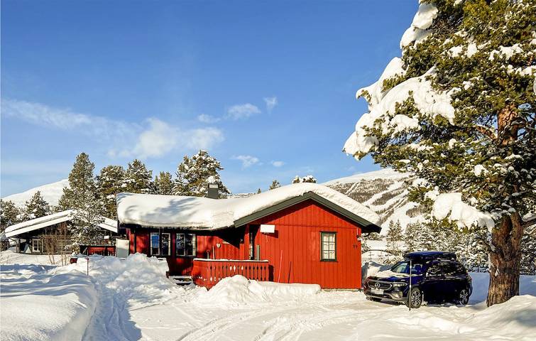 Ferienhaus für 6 Personen mit Garten in Bjorli, Lesja