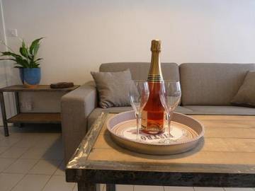 Gîte pour 4 personnes, avec terrasse et vue, animaux acceptés à Hautvillers