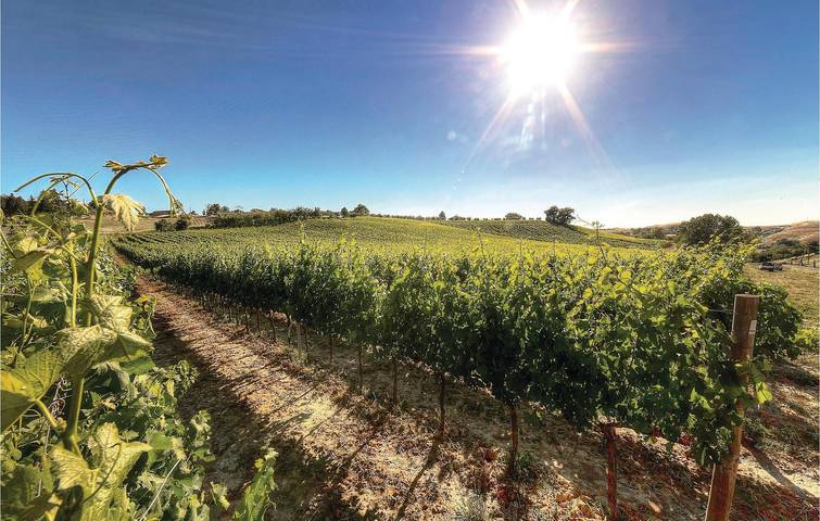 Gîte pour 4 personnes, avec piscine à Montaione - 4