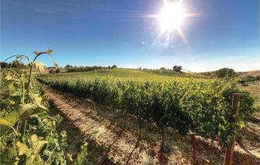 Agriturismo per 4 Persone in Montaione, Firenze province, Foto 3