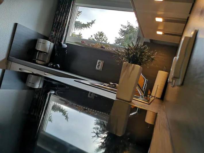 Ferienpark für 4 Personen, mit Seeblick und Ausblick sowie Garten, mit Haustier in der Eifel - 3