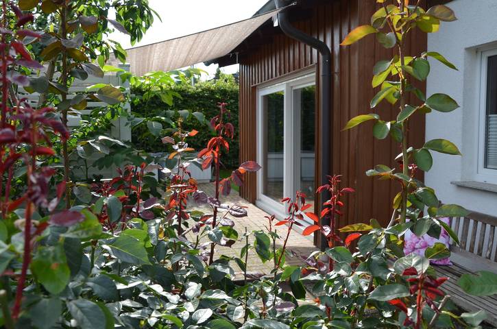 Ferienhaus für 4 Personen, mit Garten im Sauerland - 2