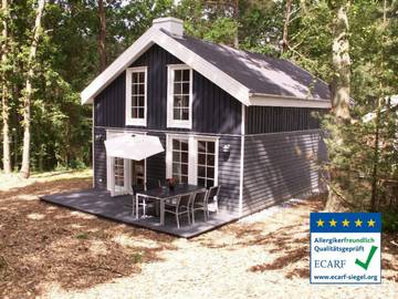 Ferienhaus für 8 Personen, mit Sauna und Whirlpool in Baabe