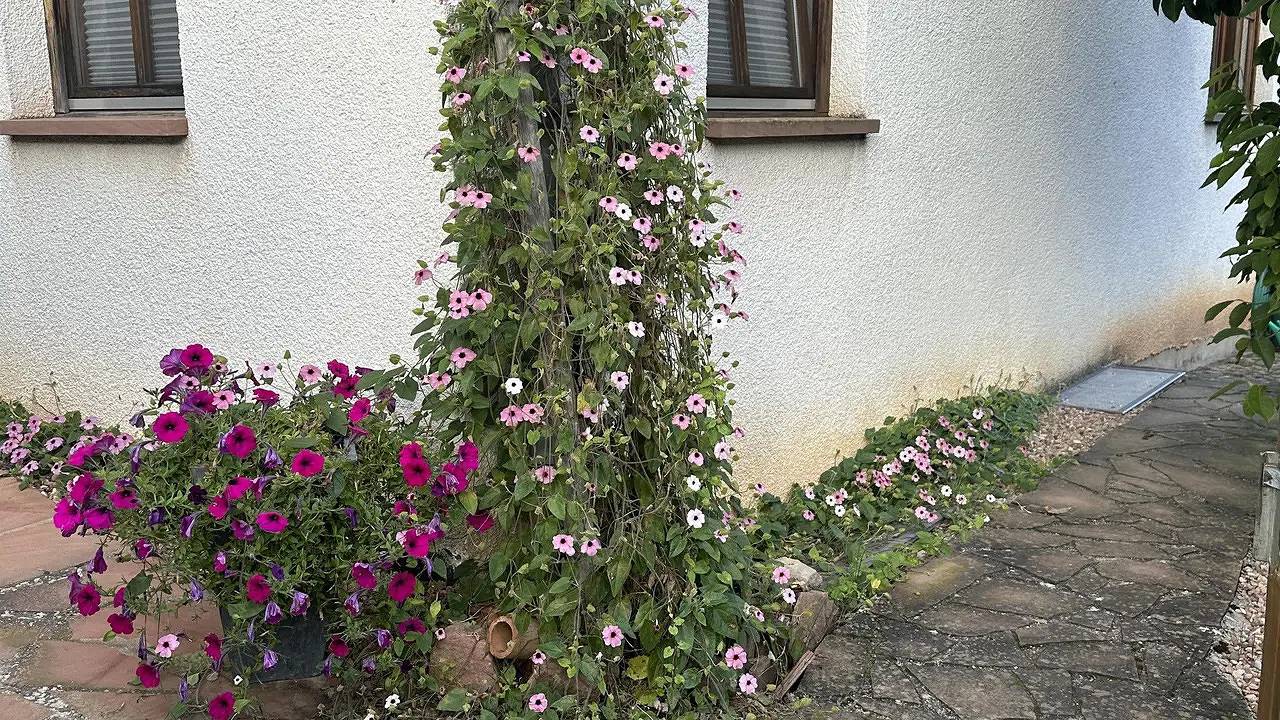 Ganze Ferienwohnung, Ferienwohnung für 2 Personen (48 m²) in Erbach in Erbach im Odenwald, Main-Odenwald