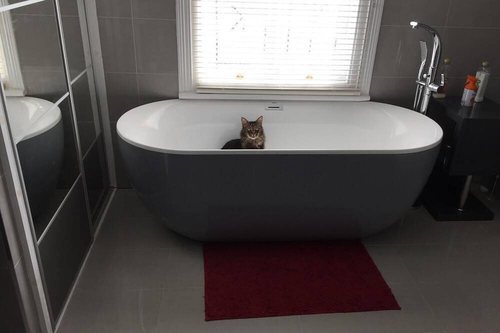 Delightful luxury bath and breakfast 3 in Brighton, Sussex