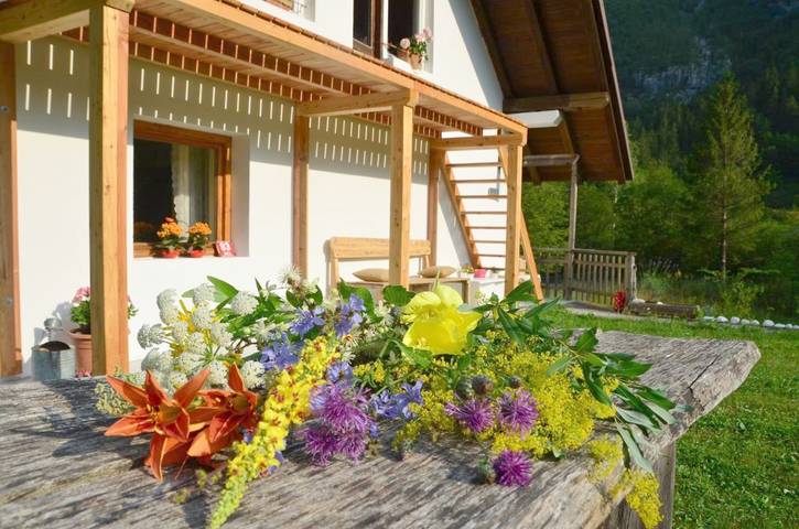 Location de vacances pour 4 personnes, avec Balcon et Terrasse ainsi que Jardin et Vue dans Soča