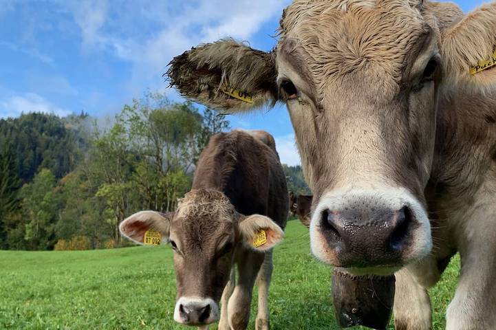 Ferienwohnung für 2 Personen in Oberstdorf