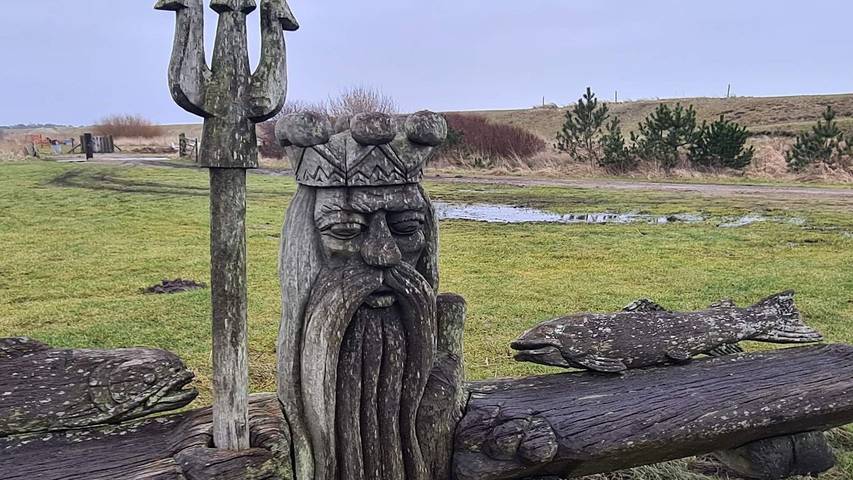 Ferienhaus für 7 Personen, mit Terrasse und Whirlpool sowie Sauna in Blavand - 3