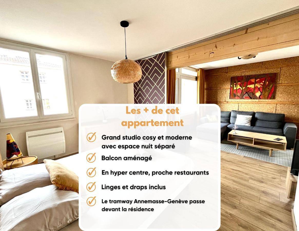 Appartement entier, Grand studio aux portes de Genève in Ambilly, Région de Saint-Julien-en-Genevois