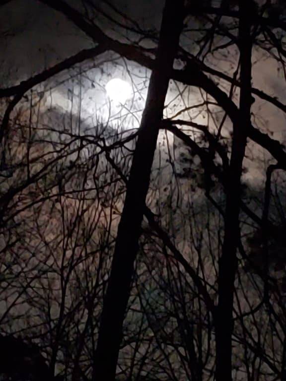 Log cabin for 2 people, with terrace and yard in Kentucky