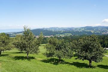 Bauernhof für 6 Personen in Bodensee (Schweiz), Kanton St. Gallen, Bild 2