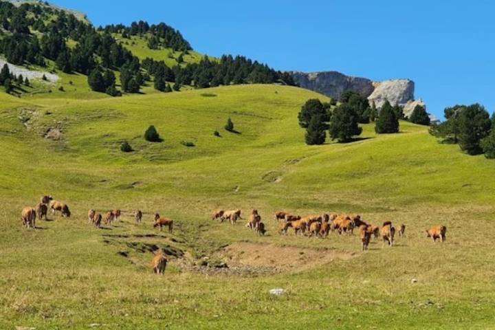 Gîte pour 4 personnes, avec vue et terrasse à Châtillon-en-Diois - 4